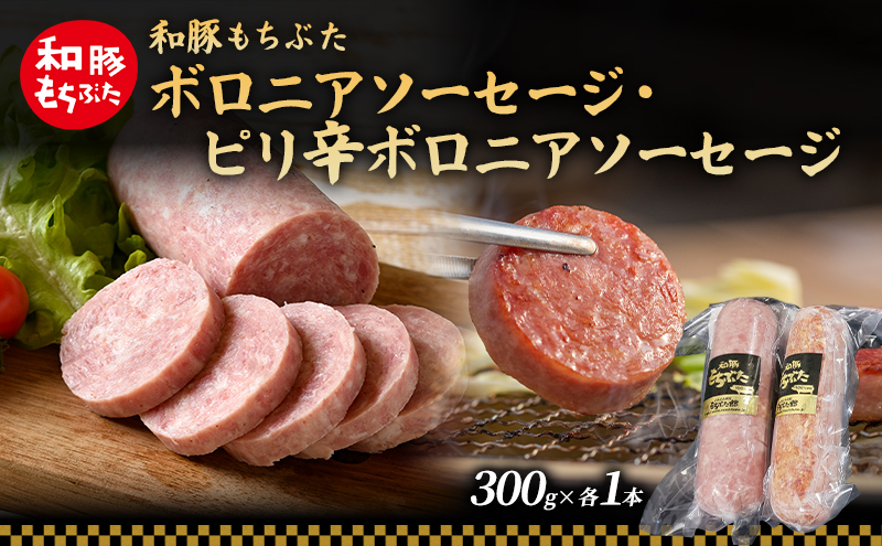 y{錧͌za Ԃ {jA sh{jA\[Z[WZbg e1{ a  ؓ |[N  sh   Ԃ u^ H AEghA