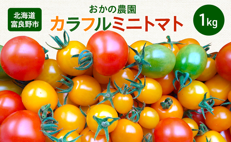 ykCxǖszy2026Nā`z̔_ Jt ~jg}g 1kg Zbg l TCY  i VN  Yn kC xǖ ӂ