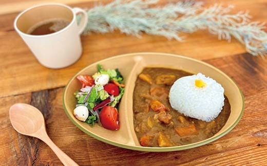 earth color 抗菌小判ランチプレート4P プレート 抗菌 樹脂製 テーブルウェア 日本製 F6P-2556