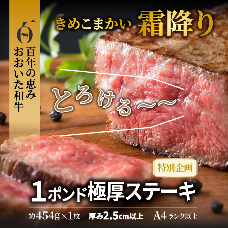 大分県国東市のふるさと納税 【A4～A5等級】まさに〃肉のエアーズロック〃おおいた和牛１ポンド極厚ステーキ_29365A