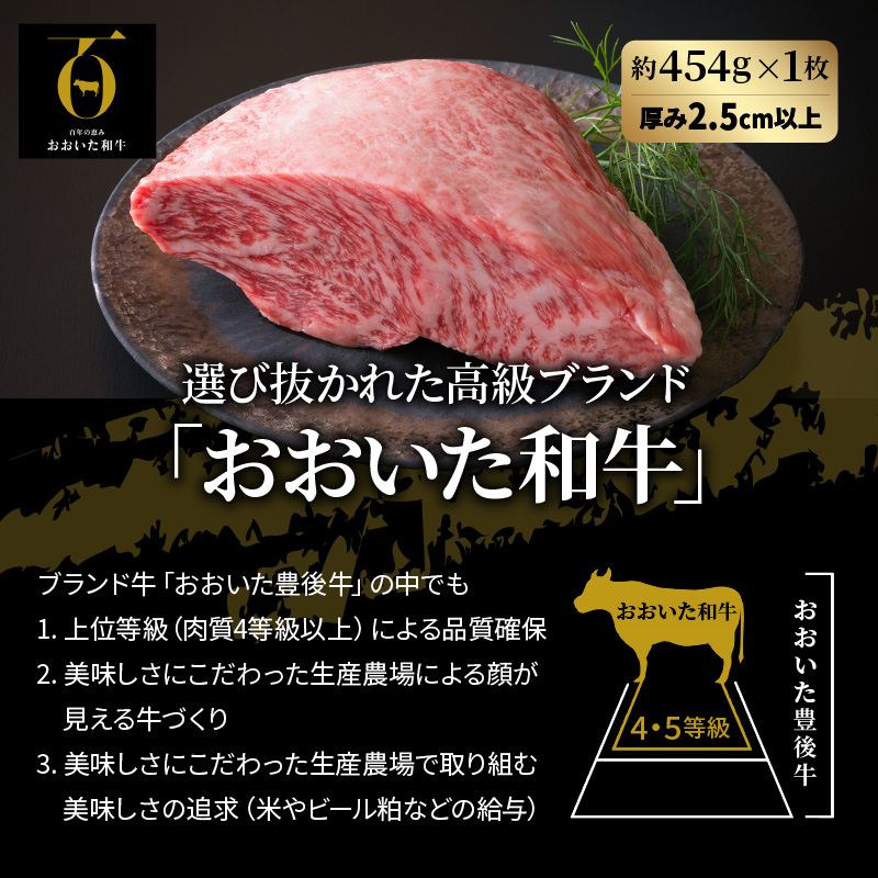 大分県国東市のふるさと納税 【A4～A5等級】まさに〃肉のエアーズロック〃おおいた和牛１ポンド極厚ステーキ_29365A