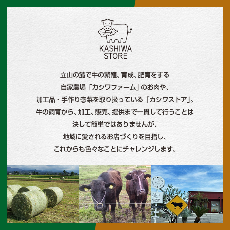 【A4ランク以上】立山産まれ松阪牛 ローストビーフ 600g カシワファーム 松阪牛 和牛 牛肉 冷凍 美味しい 富山県 立山町 お歳暮 お中元 F6T-098
