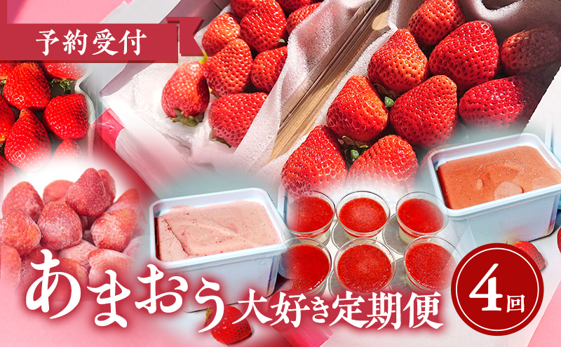 [2026年2月上旬より発送開始][予約受付・4回定期便]あまおう大好き定期便 ※配送不可:北海道・沖縄県・離島