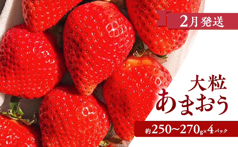 【2026年2月上旬より発送開始】【予約受付・4回定期便】あまおう大好き定期便 ※配送不可：北海道・沖縄県・離島