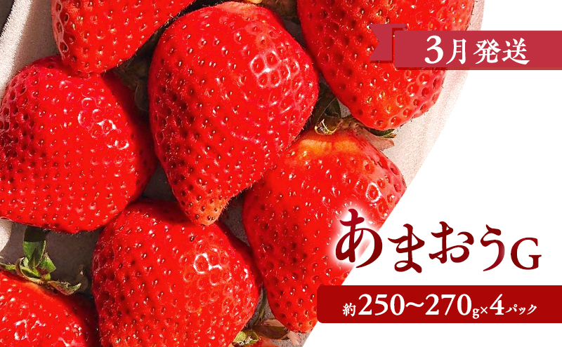 【2026年3月上旬より発送開始】【予約受付・3回定期便】あまおう満喫セット ※配送不可：北海道・沖縄県・離島