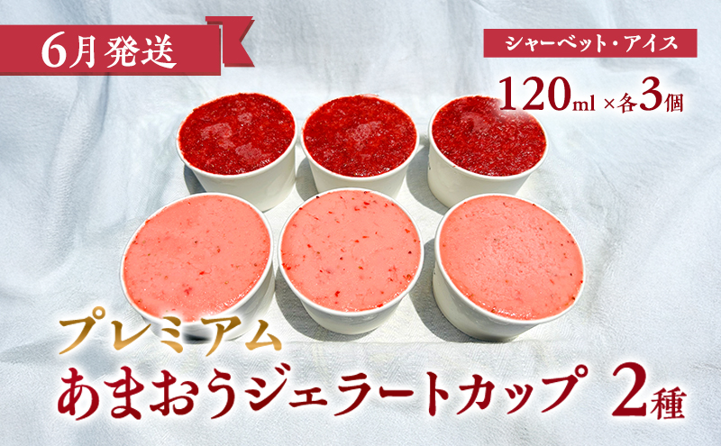 【2026年3月上旬より発送開始】【予約受付・3回定期便】あまおう満喫セット ※配送不可：北海道・沖縄県・離島