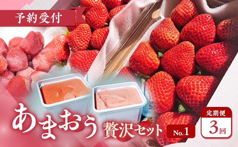 [2026年3月上旬より発送開始][予約受付・3回定期便]あまおう贅沢セットNo.1 ※配送不可:北海道・沖縄県・離島