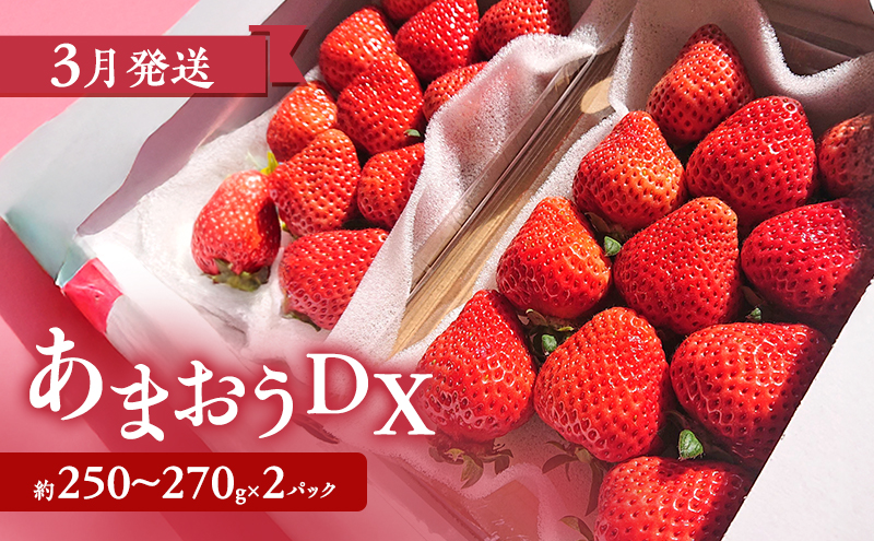 【2026年3月上旬より発送開始】【予約受付・3回定期便】あまおう贅沢セットNo.1 ※配送不可：北海道・沖縄県・離島