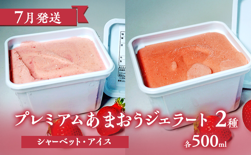 【2026年3月上旬より発送開始】【予約受付・3回定期便】あまおう贅沢セットNo.1 ※配送不可：北海道・沖縄県・離島