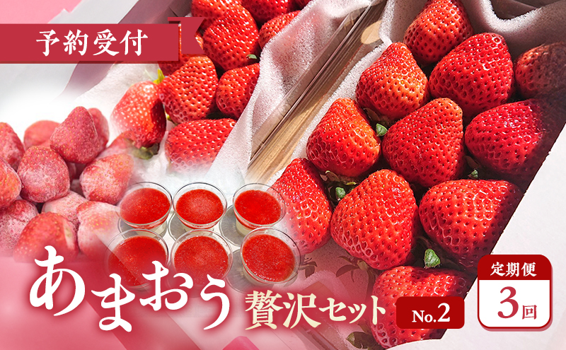 【2026年3月上旬より発送開始】【予約受付・3回定期便】あまおう贅沢セットNo.2 ※配送不可：北海道・沖縄県・離島