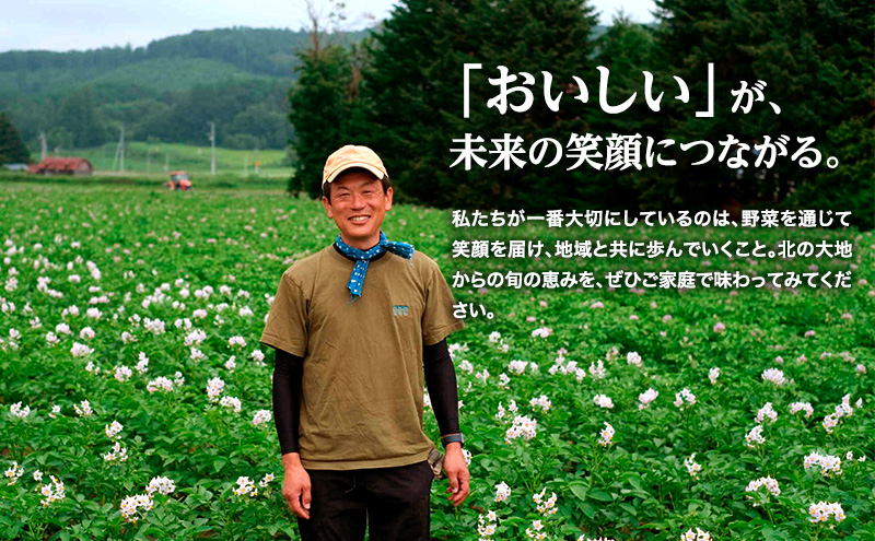 小笠原農園の有機玉ねぎ10kg【北海道十勝幕別】《2025年秋出荷