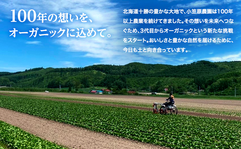 北海道幕別町のふるさと納税 小笠原農園 有機野菜 定期便 夏とうもろこし ミルキースイーツ 24本 秋じゃがいも 2種 きたあかり 12kg メークイン 12kg 2025年8月出荷開始 先行予約 北海道 スイートコーン コーン とうもろこし じゃがいも 芋 セット 野菜