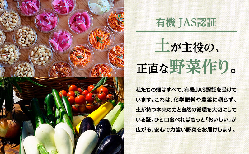 小笠原農園の有機野菜 2種詰合せ（北海こがね2kg・リーキ1kg）北海道 十勝 幕別《2026年秋出荷先行予約》【 野菜 芋 じゃがいも 北海こがね ねぎ ネギ リーキ セット 】