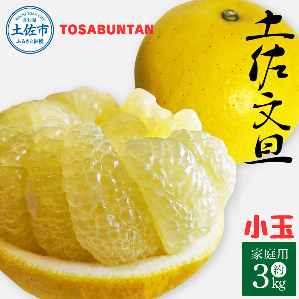 ＜2026年1月下旬より順次発送＞土佐文旦 小玉 家庭用 3kg 7～9玉入り M～Lサイズ 先行予約 文旦 ぶんたん ブンタン 柑橘 フルーツ デザート 果物 ご当地 人気 名産 お取り寄せ 土佐 高知 土佐市