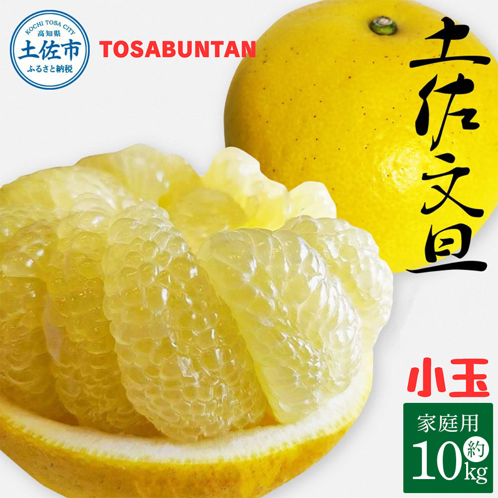 【高知県土佐市】<2026年1月下旬より順次発送>土佐文旦 小玉 家庭用 10kg 23〜29玉入り M〜Lサイズ 先行予約 文旦 ぶんたん ブンタン 柑橘 フルーツ デザート 果物 ご当地 人気 名産 お取り寄せ 土佐 高知 土佐市