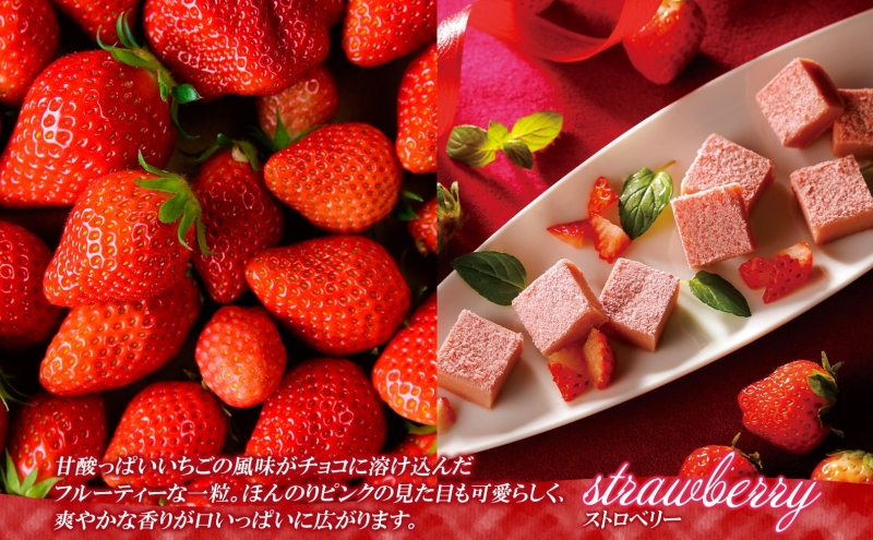 クレストジャパン 生チョコ3種食べ比べセット 生チョコ 3種類 アソート 食べ比べ プレーン ホワイト いちご 北海道産生クリーム チョコ 生チョコ スイーツ デザート チョコレート カカオ 冷凍 お取り寄せグルメ 送料無料 北海道 滝川市