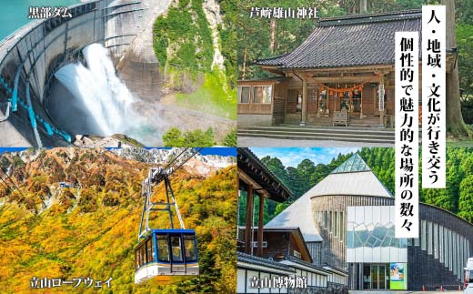 富山県 立山町 旅行クーポン 900,000 円分 キャンプ 体験 登山 観光 旅行 ホテル 旅館 老舗 高級 トラベル チケット 家族 カップル 宿泊 予約 おすすめ 父の日 母の日 旅行券 宿泊券 F6T-790