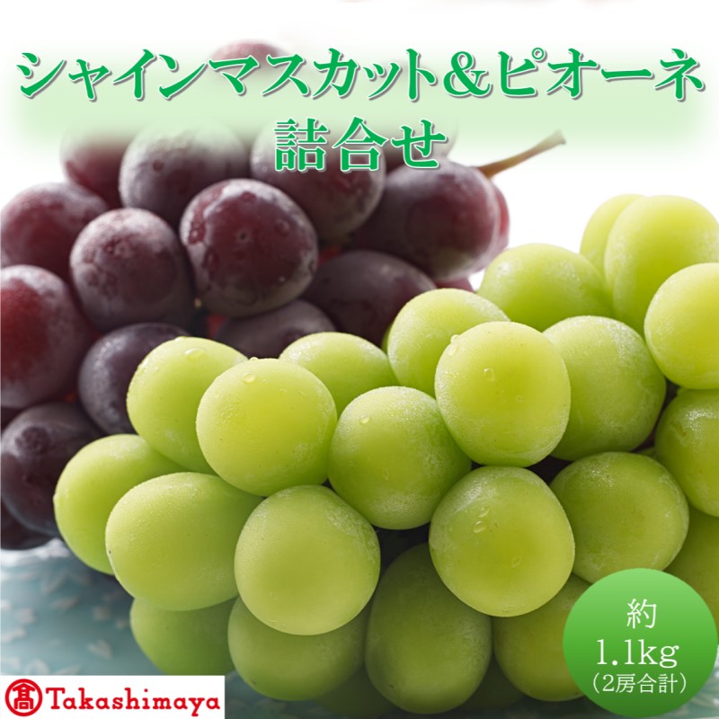 2026年 早期受付【高島屋選定品】シャインマスカット＆ピオーネ詰合せ 約1.1kg（2房合計） 岡山県高梁市産 個装箱入り 葡萄 ブドウ 贈り物