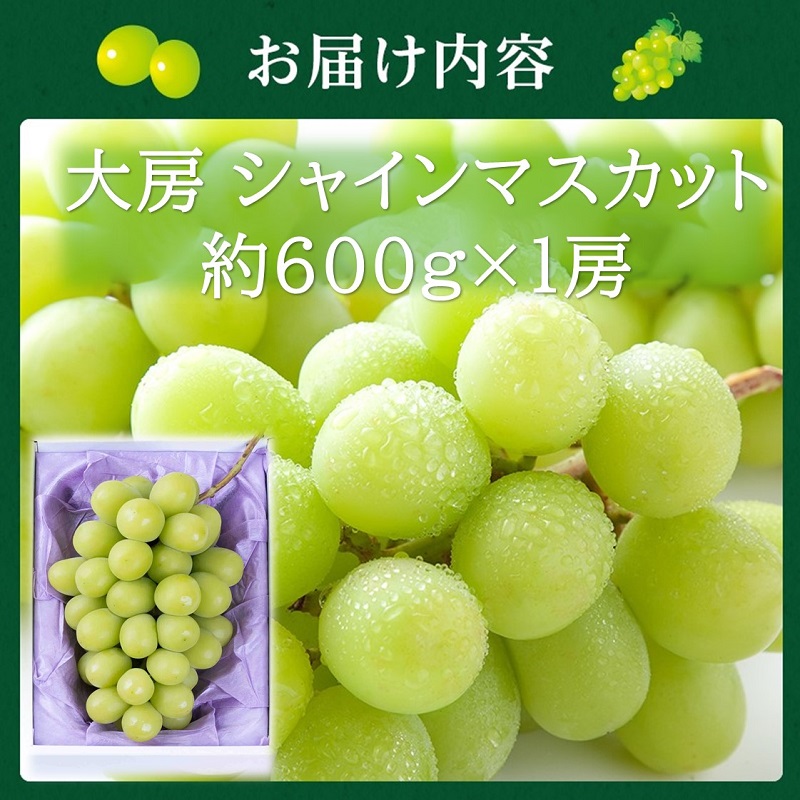2026年 早期受付【高島屋選定品】大房 シャインマスカット 約600g×1房 岡山県高梁市産 個装箱入り 葡萄 ブドウ 贈り物
