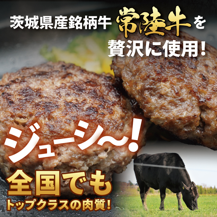 【常陸牛】生ハンバーグ 150g×5個｜茨城県共通返礼品 牛肉 国産 ブランド牛 黒毛和牛 惣菜 おかず 贈り物 ギフト 茨城県 大子町（AP006）