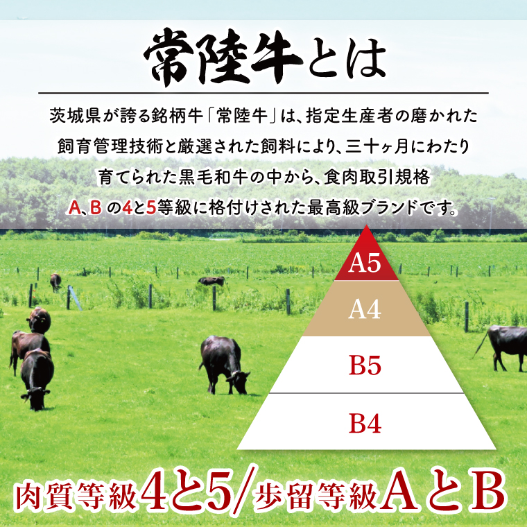 【常陸牛】生ハンバーグ 150g×5個｜茨城県共通返礼品 牛肉 国産 ブランド牛 黒毛和牛 惣菜 おかず 贈り物 ギフト 茨城県 大子町（AP006）