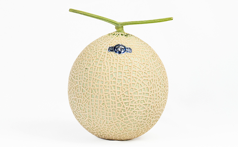 クラウンメロン 1.3kg以上 1玉 (夏3～8月) 果物 メロン 青肉 フルーツ デザート 高級メロン ブランドメロン 袋井市 静岡県