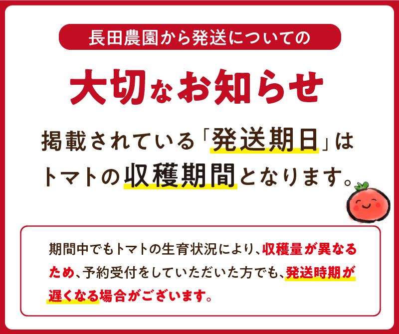 愛知県碧南市のふるさと納税 【2026年度予約分】【予約受付】 たった3ヶ月しか食べられない 幻 フルーツ トマト ファーストトマト 容量 約700g 特に美味しい 3月 〜 5月 限定発送 長田農園 完全木熟栽培 果皮 薄い もっちり食感 甘い リコピン 野菜 碧南市 送料無料 H004-120