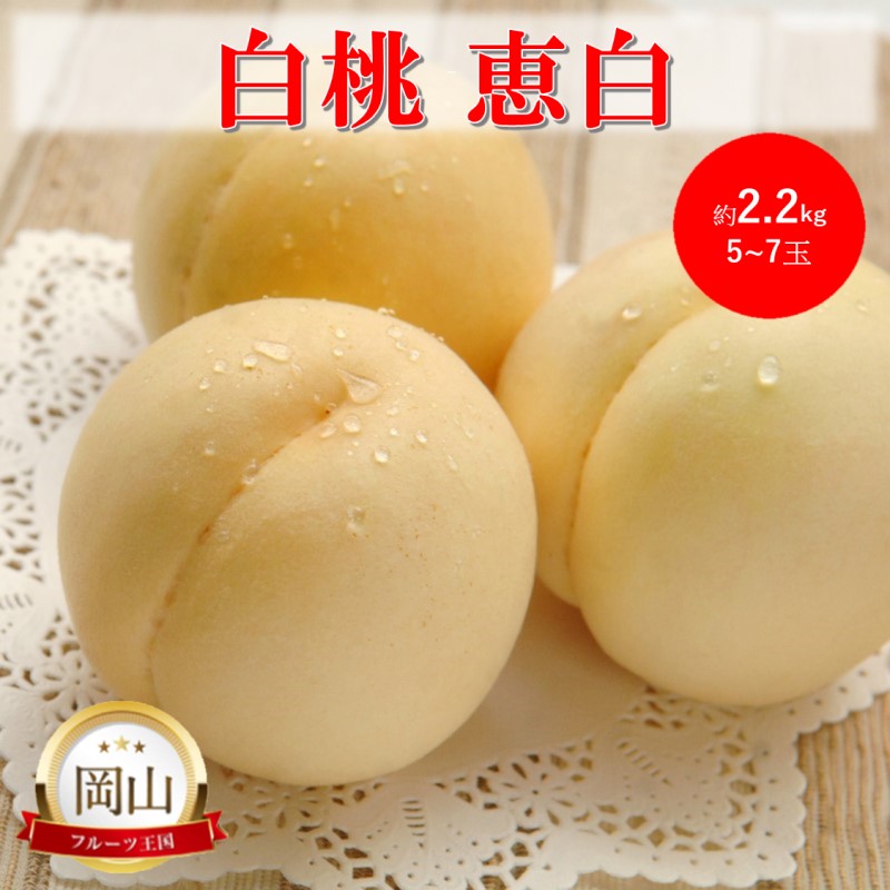 �y���R�������s�z2026�N ������t ���R���Y ���� �b�� (��2.2kg) 5�`7�� �� ���� �ʕ� �t���[�c