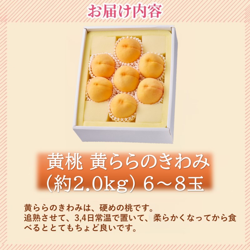 2026年 早期受付 岡山県産 黄桃 黄ららのきわみ (約2.0kg) 6～8玉 桃 もも 果物 フルーツ