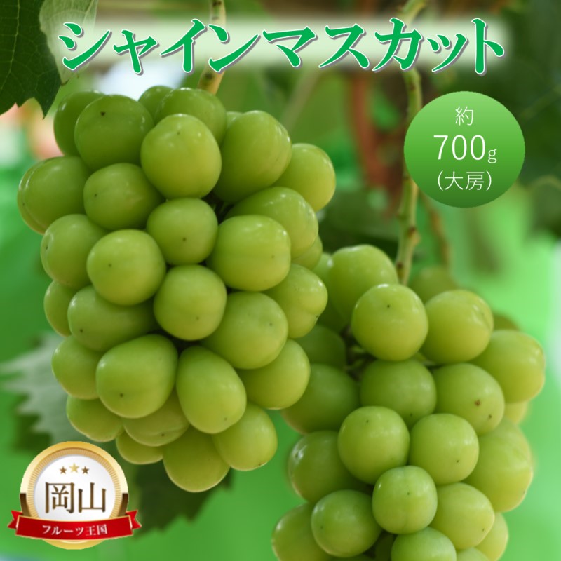 高梁市産 シャインマスカット 大房 (約700g) ぶどう ブドウ 葡萄 果物 フルーツ