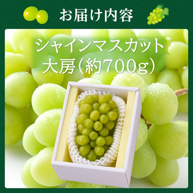 高梁市産 シャインマスカット 大房 (約700g) ぶどう ブドウ 葡萄 果物 フルーツ