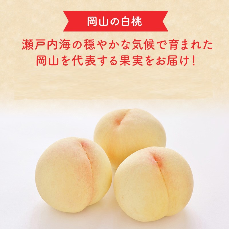 2026年 早期受付 岡山県産 清水白桃 大玉 (約2.2kg) 5～7玉 桃 白桃 もも 果物 フルーツ