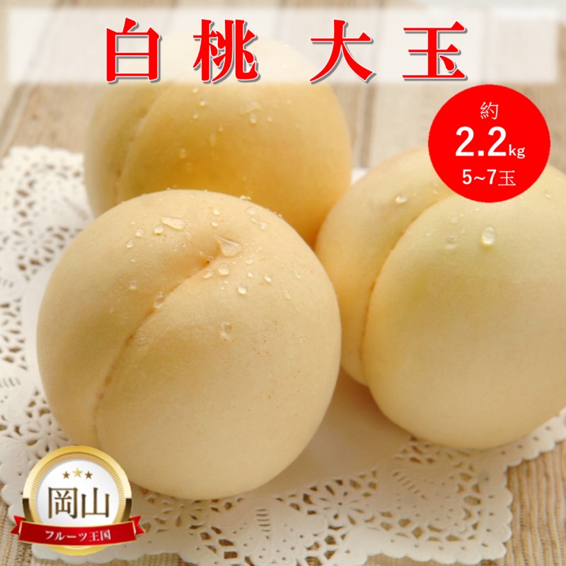 岡山県産 白桃 大玉 (約2.2kg) 5～7玉 桃 もも 果物 フルーツ