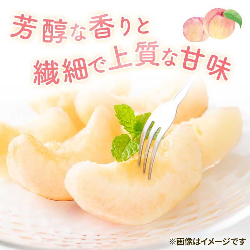 岡山県高梁市のふるさと納税 岡山県産 白桃 大玉 (約2.2kg) 5～7玉 桃 もも 果物 フルーツ