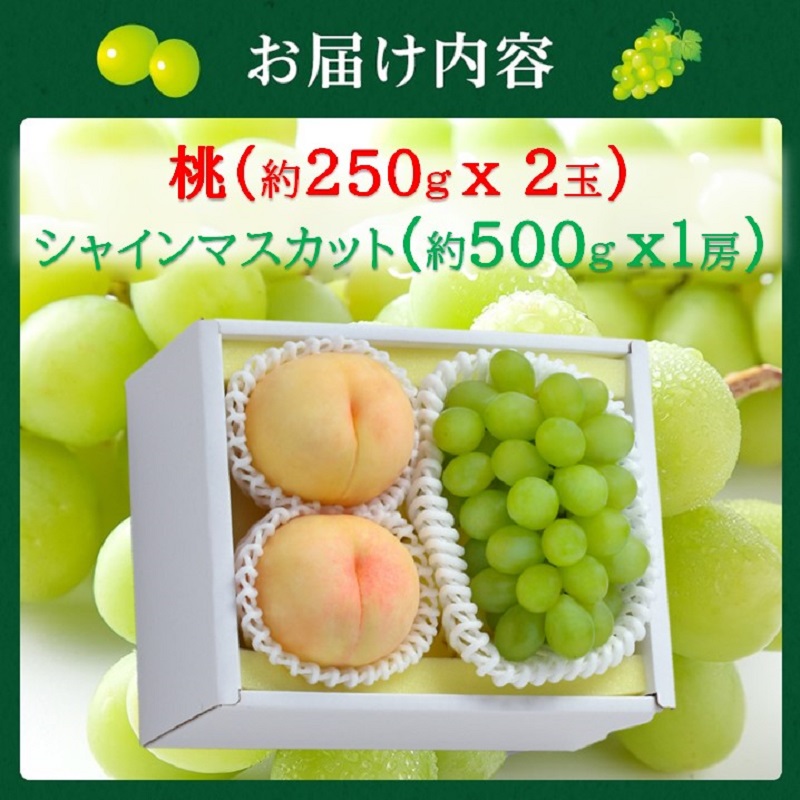 2026年 早期受付 岡山県産 桃 (約250g×2玉)・シャインマスカット(約500g×1房) 詰合せ 桃 シャインマスカット 果物 フルーツ