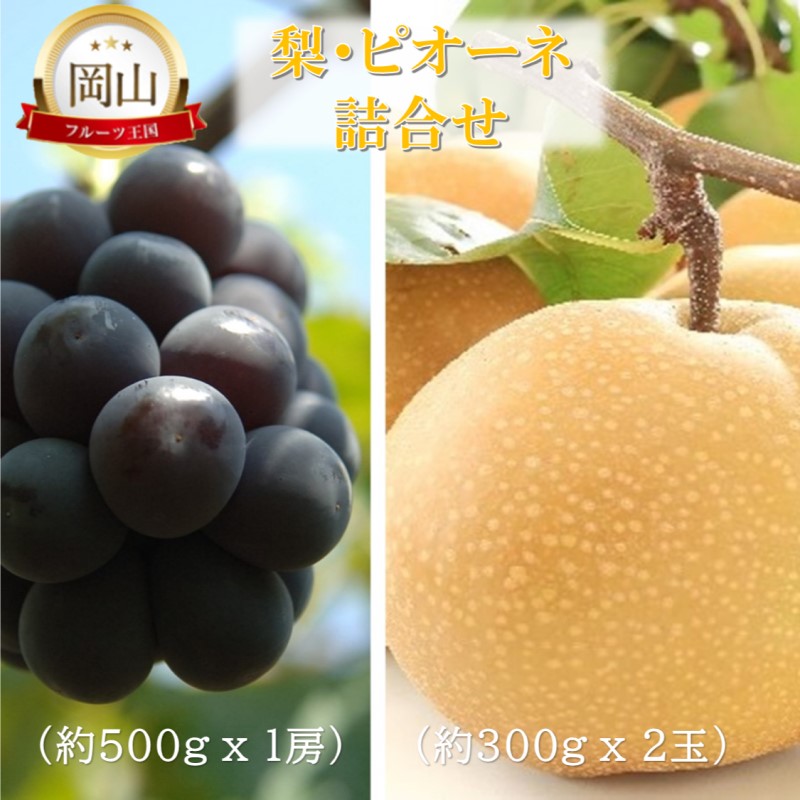 岡山県産 ピオーネ 約5kg 楽天市場】岡山産 ”種なしニューピオーネ” 優品 超大房 5〜6房
