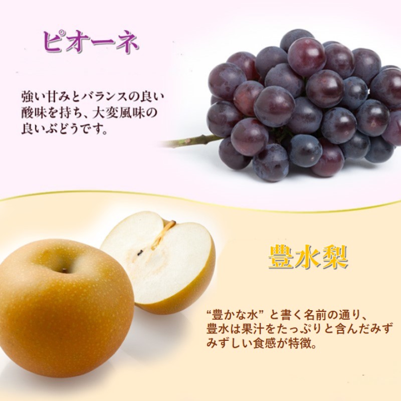 2026年 早期受付 岡山県産 岡山の梨(約300g×2玉)・ピオーネ(約500g×1房) 詰合せ 梨 ピオーネ ぶどう ブドウ 葡萄 果物 フルーツ