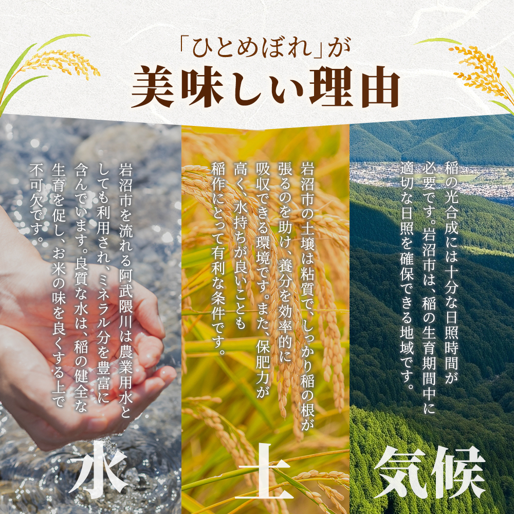 宮城県岩沼市のふるさと納税 【令和7年産新米/3ヶ月連続定期便】ひとめぼれ 5kg×3回 米 岩沼産 お米 白米 精米 ブランド米 単一原料米 5キロ こめ コメ おこめ ご飯 ライス 東北 宮城県産 宮城県産ひとめぼれ 宮城米 宮城