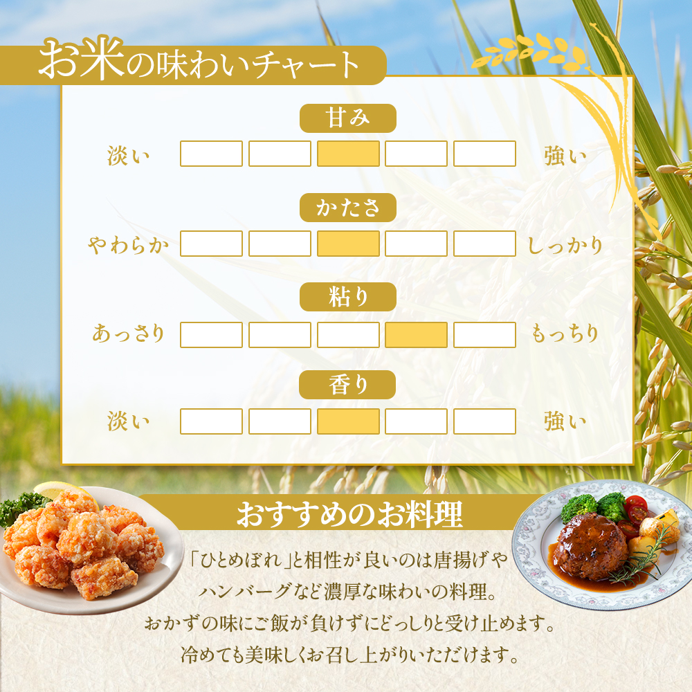 【令和7年産新米/3ヶ月連続定期便】ひとめぼれ 10kg×3回 米 岩沼産 お米 白米 精米 ブランド米 単一原料米 10キロ こめ コメ おこめ ご飯 ライス 東北 宮城県産 宮城県産ひとめぼれ 宮城米