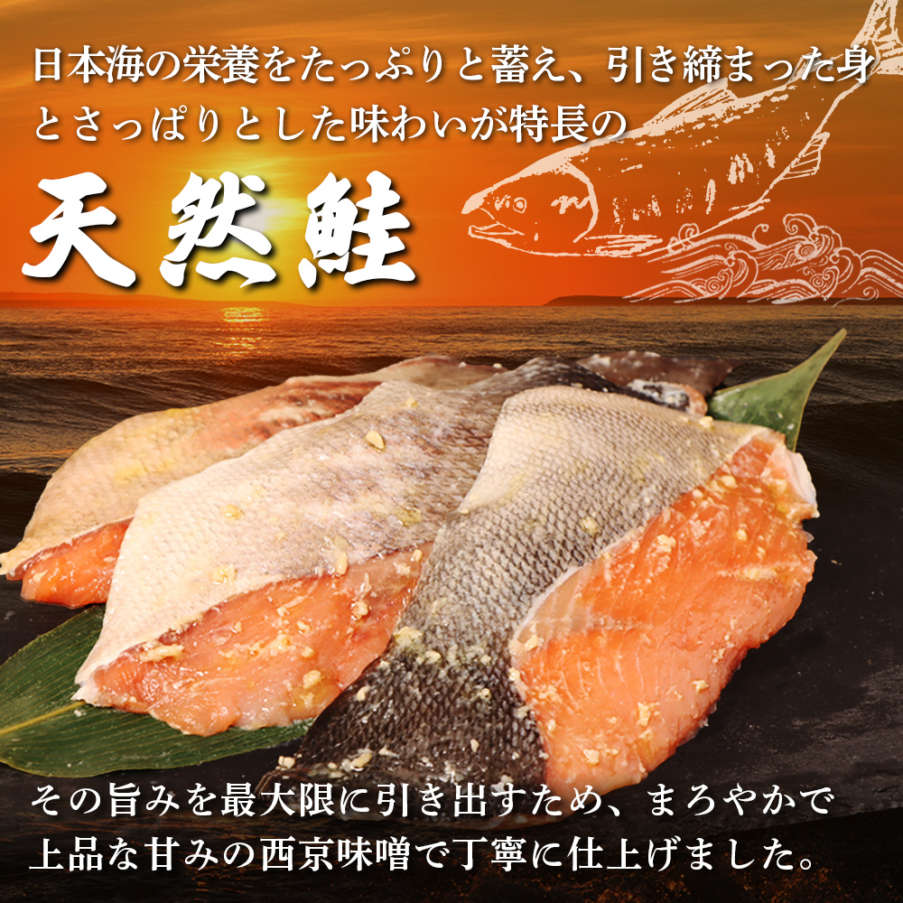 北海道羽幌町のふるさと納税 【北海道産】厚切り天然鮭西京漬け 約3.9kg【24枚（4枚×6パック）】【02144】