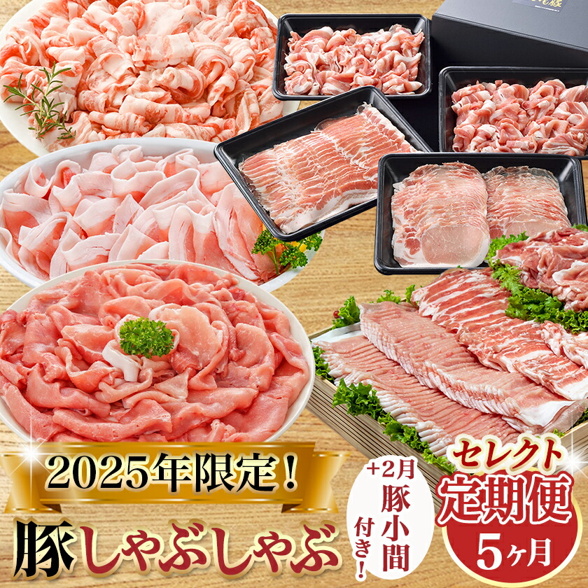 宮崎県都城市のふるさと納税 【セレクト定期便】☆豚しゃぶしゃぶ+2月豚小間付き☆定期便(5ヶ月)≪2026年お届け≫_T62-MY02