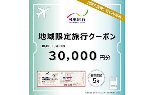 【富山県立山町】富山県立山町 日本旅行 地域限定旅行クーポン30,000円分 旅 旅行 観光 レジャー チケット クーポン 立山観光 F6T-755