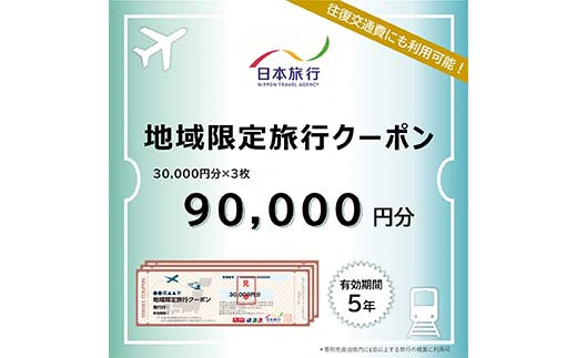 富山県立山町 日本旅行 地域限定旅行クーポン90,000円分 旅 旅行 観光 レジャー チケット クーポン 立山観光 F6T-757