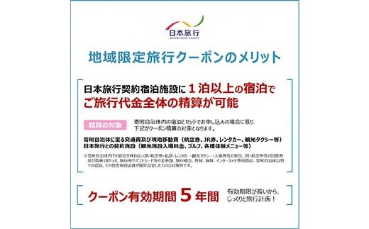 富山県立山町 日本旅行 地域限定旅行クーポン300,000円分 旅 旅行 観光 レジャー チケット クーポン 立山観光 F6T-759