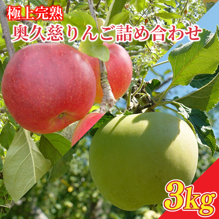 【2025年先行予約】樹上完熟の奥久慈りんご詰め合わせ　園主おまかせ約3kg（6～14玉）【2025年10月上旬頃より順次発送予定】斉藤りんご園第2直売所｜茨城県 大子町 林檎 果物 フルーツ 旬（CG001）