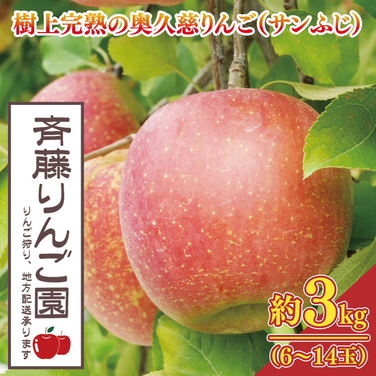 【数量限定/先行予約】樹上完熟の奥久慈りんご「サンふじ」約3kg（6～14玉）【2025年11月上旬頃より順次発送予定】斉藤りんご園第2直売所｜茨城県 大子町 林檎 果物 フルーツ 旬（CG007-1）