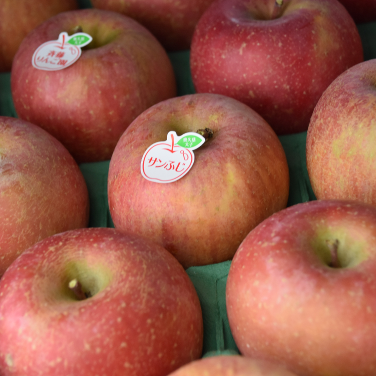 【数量限定/先行予約】樹上完熟の奥久慈りんご「サンふじ」約3kg（6～14玉）【2025年11月上旬頃より順次発送予定】斉藤りんご園第2直売所｜茨城県 大子町 林檎 果物 フルーツ 旬（CG007-1）