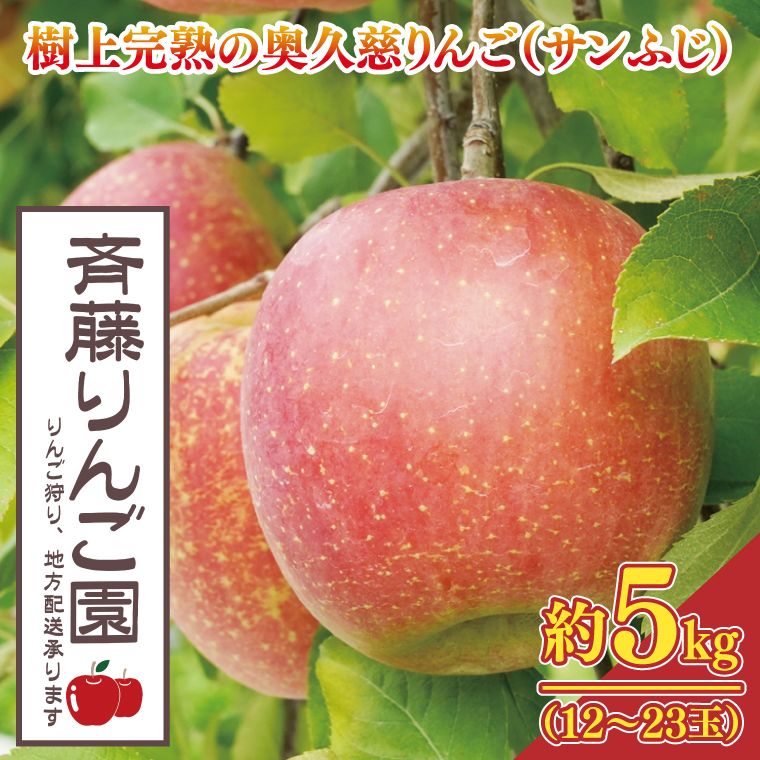 【数量限定/先行予約】樹上完熟の奥久慈りんご「サンふじ」約5kg（12～23玉）【2025年11月上旬頃より順次発送予定】斉藤りんご園第2直売所｜茨城県 大子町 林檎 果物 フルーツ 旬（CG008-1）