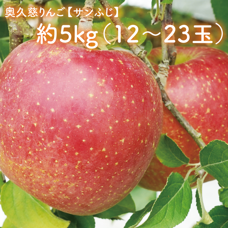 【数量限定/先行予約】樹上完熟の奥久慈りんご「サンふじ」約5kg（12～23玉）【2025年11月上旬頃より順次発送予定】斉藤りんご園第2直売所｜茨城県 大子町 林檎 果物 フルーツ 旬（CG008-1）