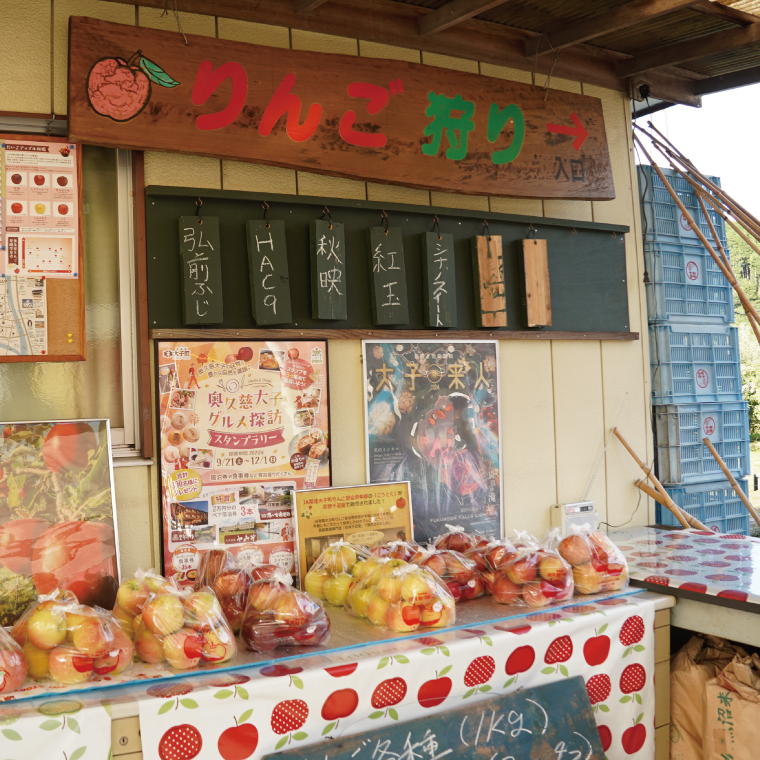 【数量限定/先行予約】樹上完熟の奥久慈りんご「サンふじ」約5kg（12～23玉）【2025年11月上旬頃より順次発送予定】斉藤りんご園第2直売所｜茨城県 大子町 林檎 果物 フルーツ 旬（CG008-1）